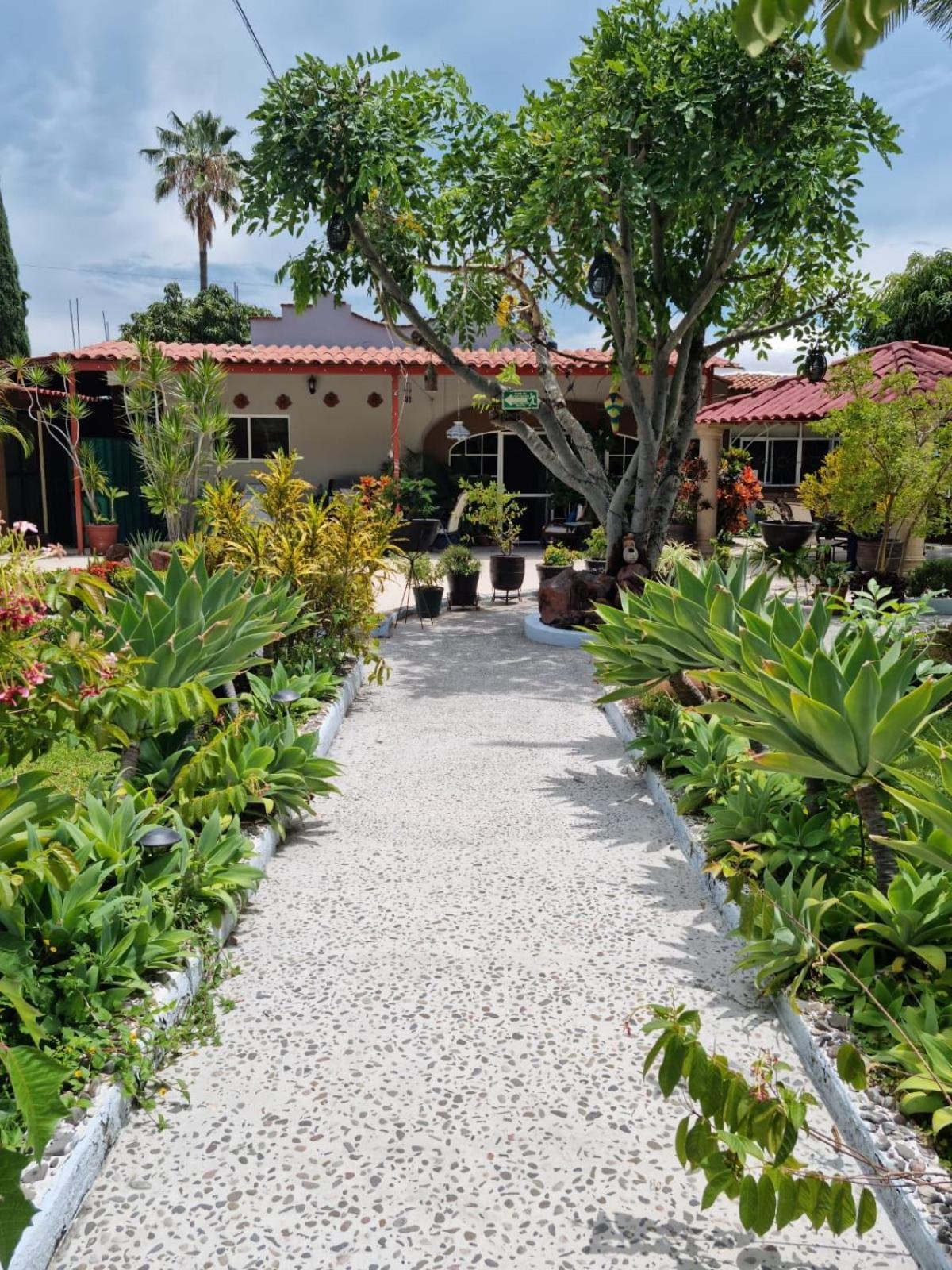 아히힉 Casa De La Abuela B&B 외부 사진