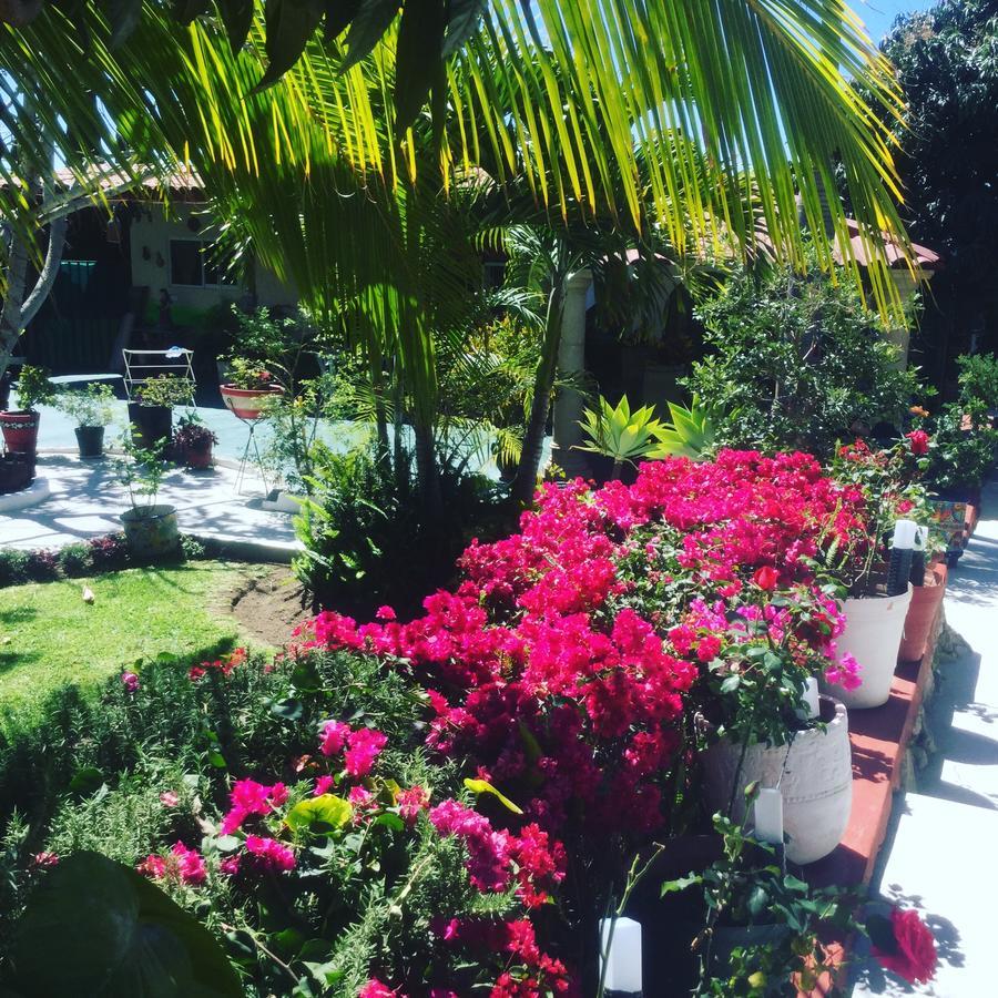 아히힉 Casa De La Abuela B&B 외부 사진